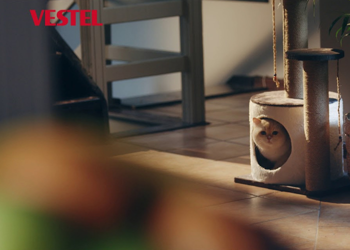Vestel & Beyaz